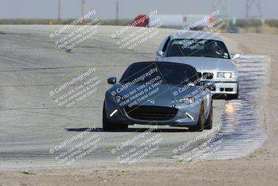 media/Oct-21-2023-Speed Ventures (Sat) [[ddf75163c5]]/Yellow/Grapevine/